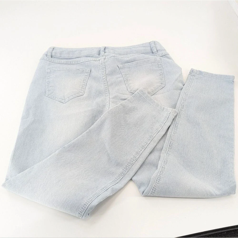 Artisan NY Pin Striped Skinny White and Blue Mid Rise Pants 28x25